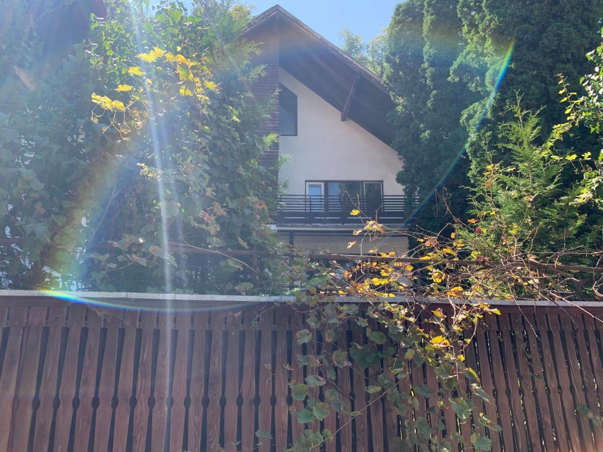 Timi Residence Брашов Экстерьер фото